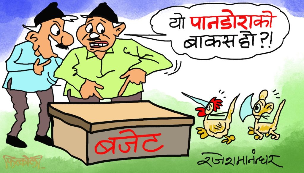 हैन याे बजेट हाे कि पान्डाेराकाे बाकस ? जसले जे खाेजे पनि पाइने ?!