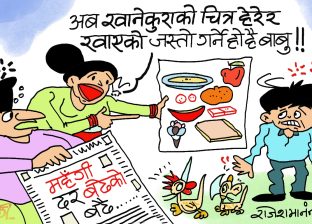 मूल्य बढेर किन्न नसकिने भाे ! अब  यै चित्र हेरेर खाएजस्ताे मात्रै गर्ने हाे !?