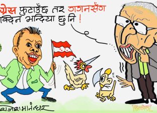 उसलाई रूख पनि तारा पनि !  दुइटै हातमा लड्डु ? याे दिनै सकिन्न ?!