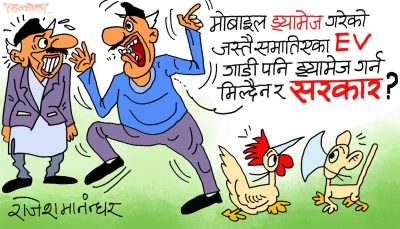 दलहरूलाई नै ड्यामेज गरिरहेका बेला जाबाे माेबाइल र इभी ड्यामेज  ?!