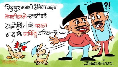 हामी नेपाली साह्रै बाठा ! खाली ठाउँ देख्नै हुन्न !! कि पसल कि पार्किङ शुरू गरिहाल्छाैँ !?