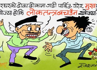 चाेर ढाेका दुला र जस्केला नथुनी लाेकतन्त्र कसरी बँचाउन सकिन्छ त !?