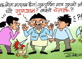 अरू  दिन गाेरू देख्नेहरू पनि गुरूपूर्णिमाका दिन त गुरूकै बखान गर्दा रहेछन् ?!