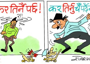 क्याटक्याटी आए गुलेली खेलाए ! मट्याङ्ग्राकाे नास… भन्थे हाे कि क्या हाे ?!