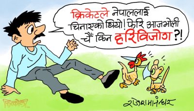 हरिबिजाेक हैन क्या हैन ! नयाँ र पुरानाबीचकाे द्वन्द्वात्मक छायाँ पर्या हाेला !? हरिबिजाेक हैन क्या हैन ! नयाँ र पुरानाबीचकाे द्वन्द्वात्मक छायाँ पर्या हाेला !?