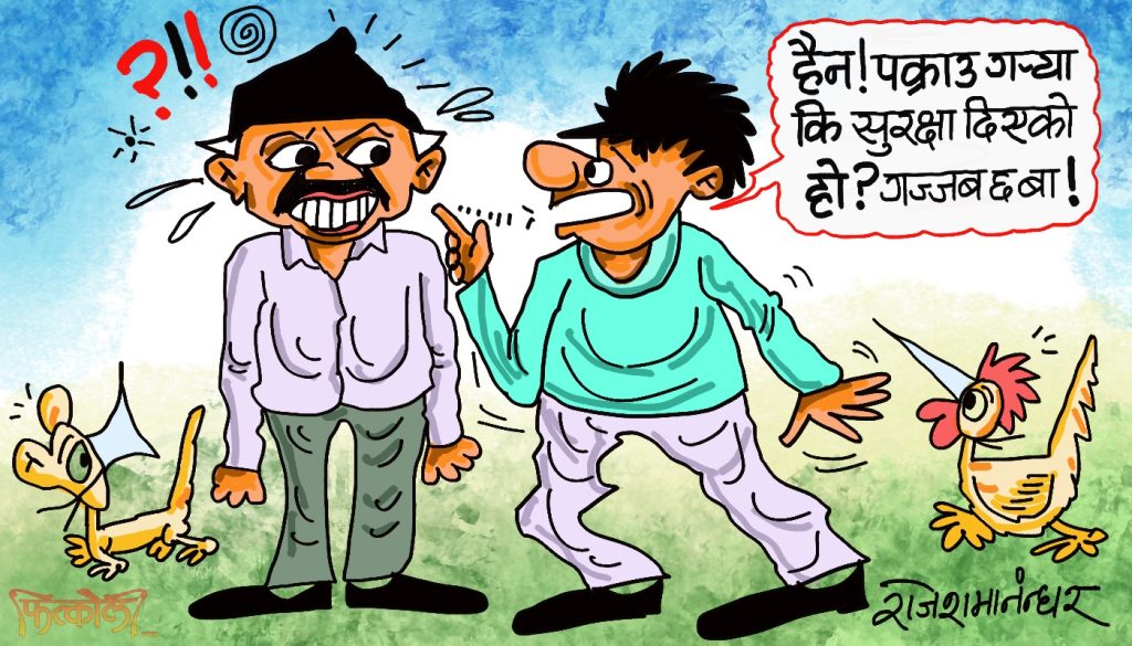 पक्राउ गरेकाे पनि हैन ! सुरक्षा दिनुपरेकाे पनि छैन ! राम्रै खेलोमेलो गर्दै हुनुहुन्छ रे त !