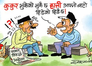 आन्दोलनको नाङ्लो ठटाएर हात्ती तर्साउन सकिएला र भन्या ?! आन्दोलनको नाङ्लो ठटाएर हात्ती तर्साउन सकिएला र भन्या ?!